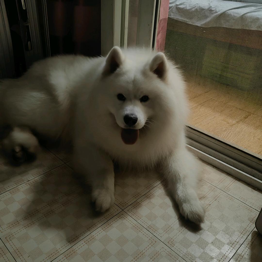 重生之我在工地搬砖