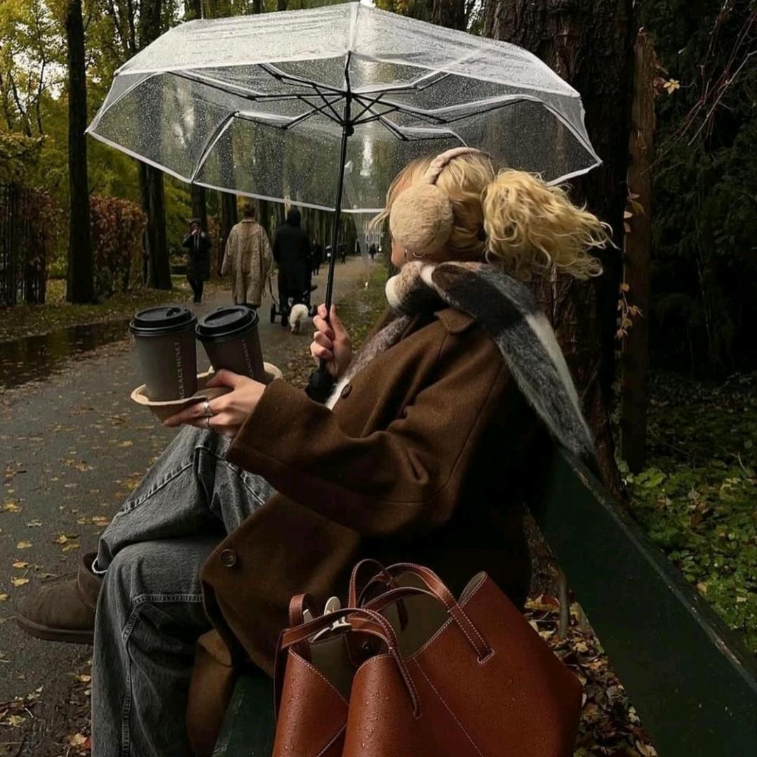 🍁