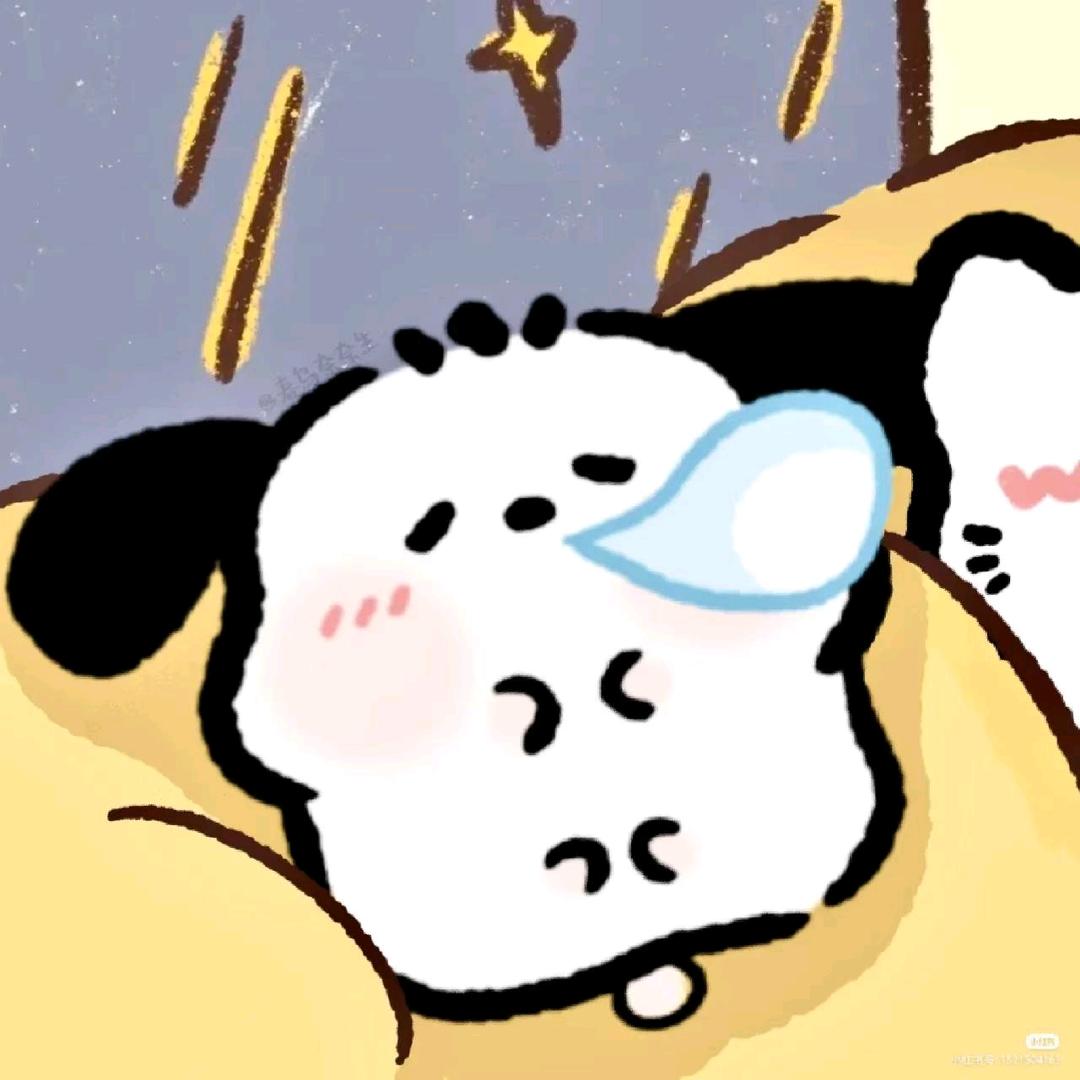 𝙥𝙤𝙘𝙝𝙖𝙘𝙘𝙤🐾