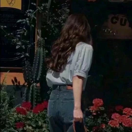 玫瑰会过期ᵐᵃ
