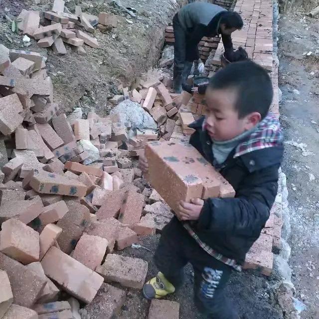 春天(ง •̀_•́)ง加油