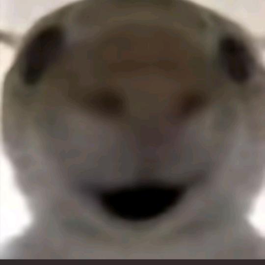 641