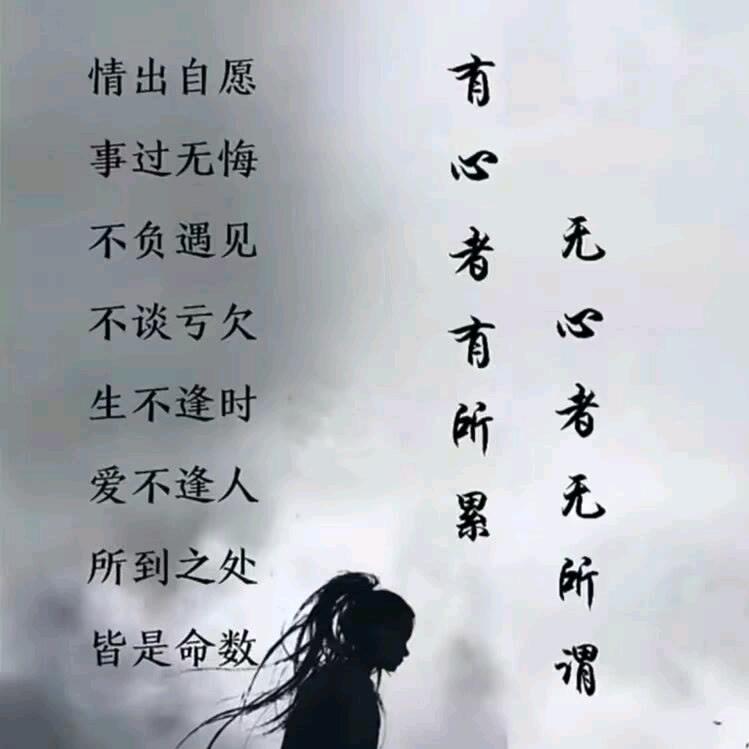 情有独仲(私信勿扰)