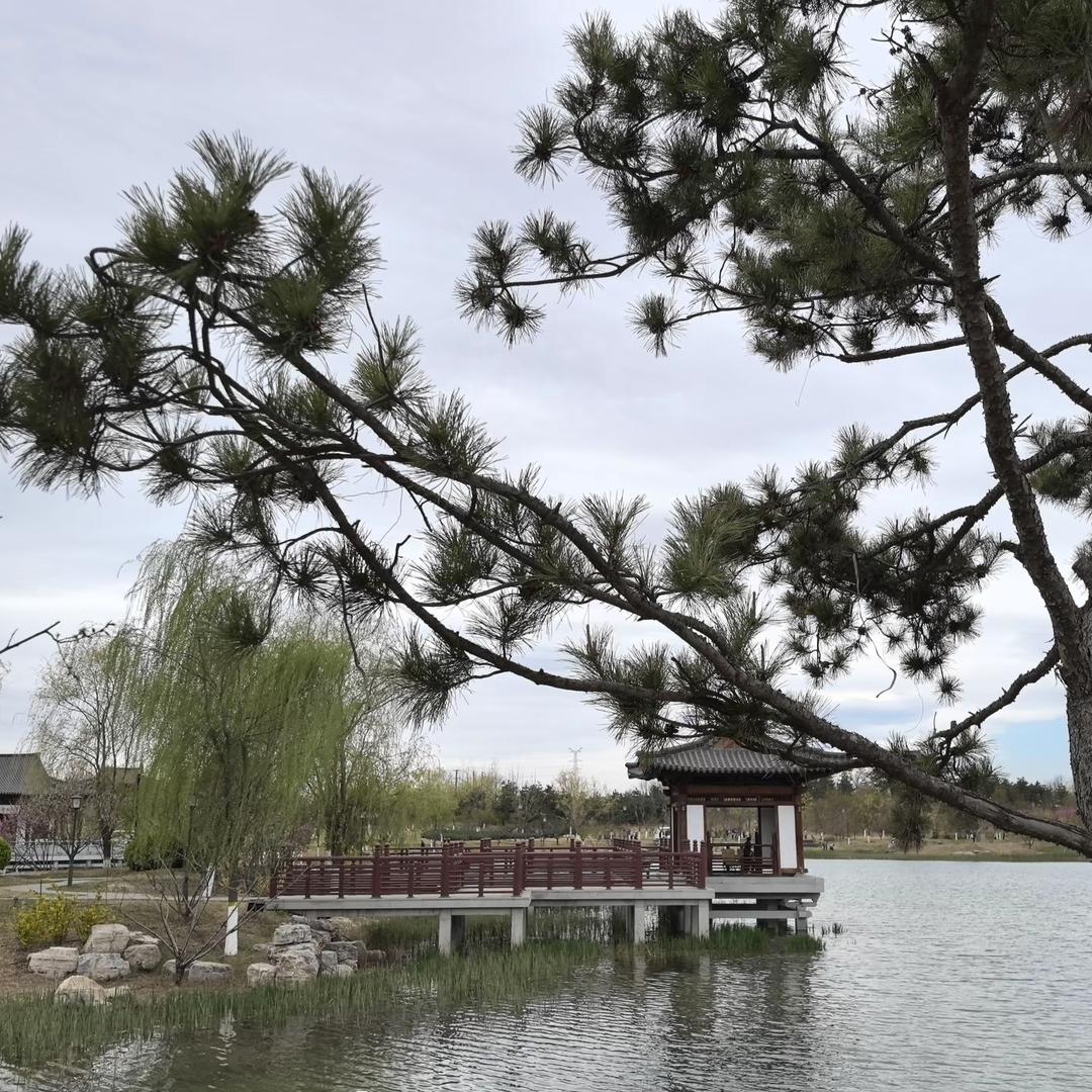 人生得意须尽欢，莫使金樽空对月