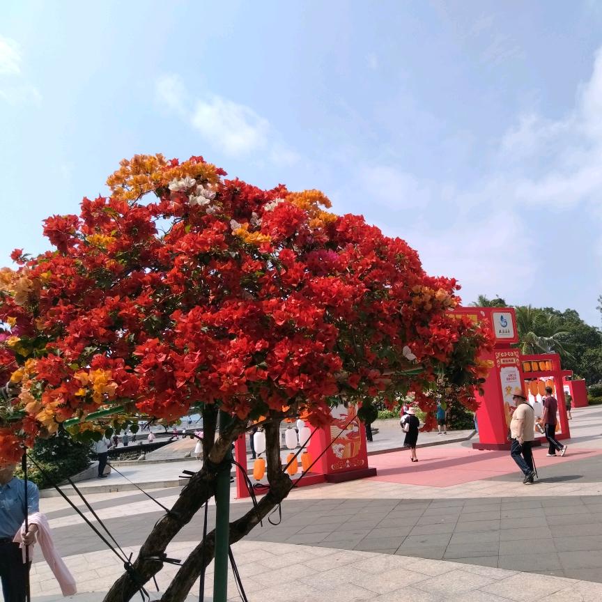 善待自己，善行天下