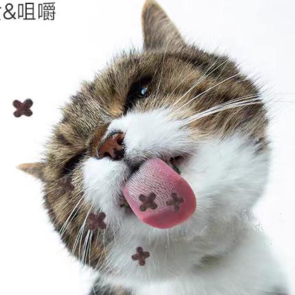 小胖瑞瑞宠