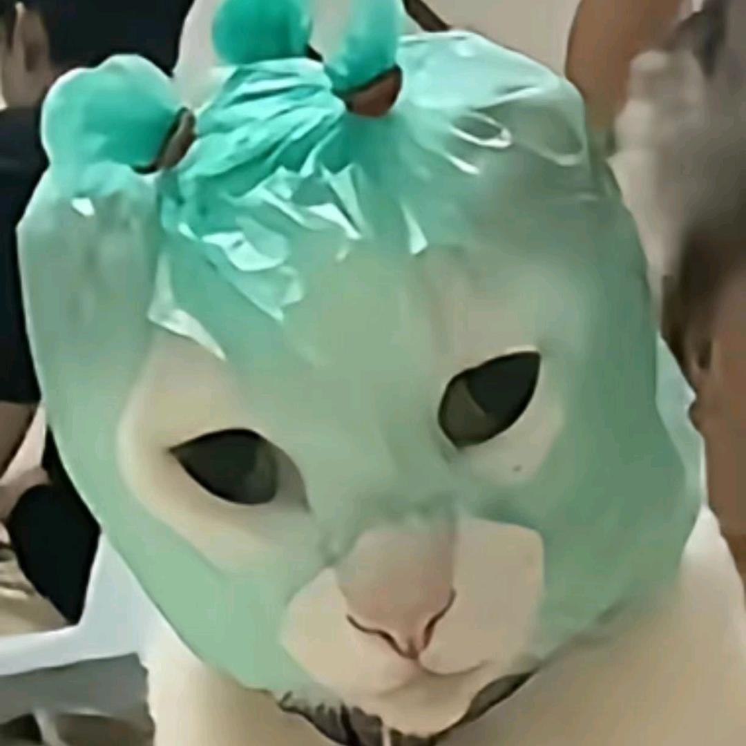 猫托车
