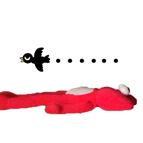 Z s.z.b.