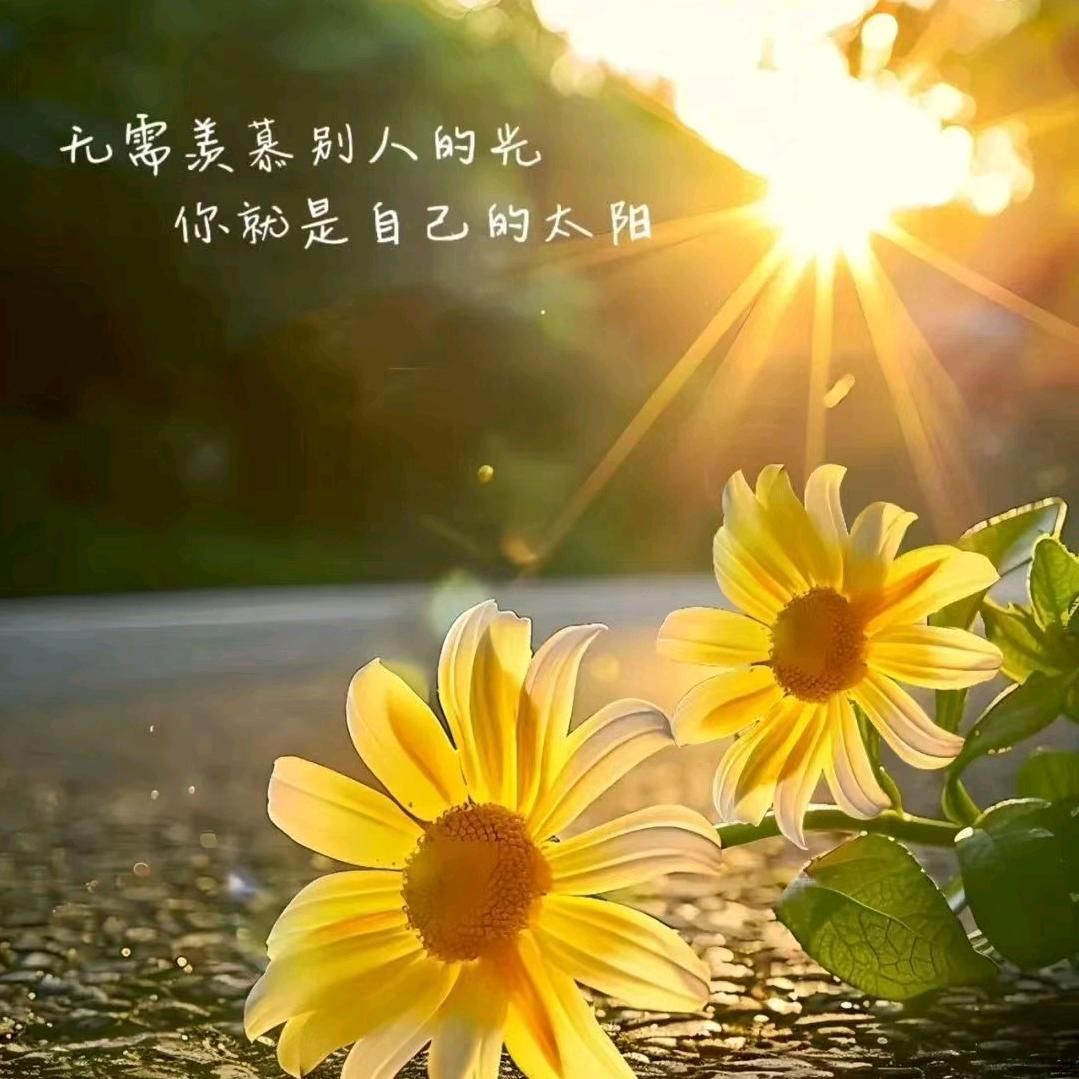 青青老师