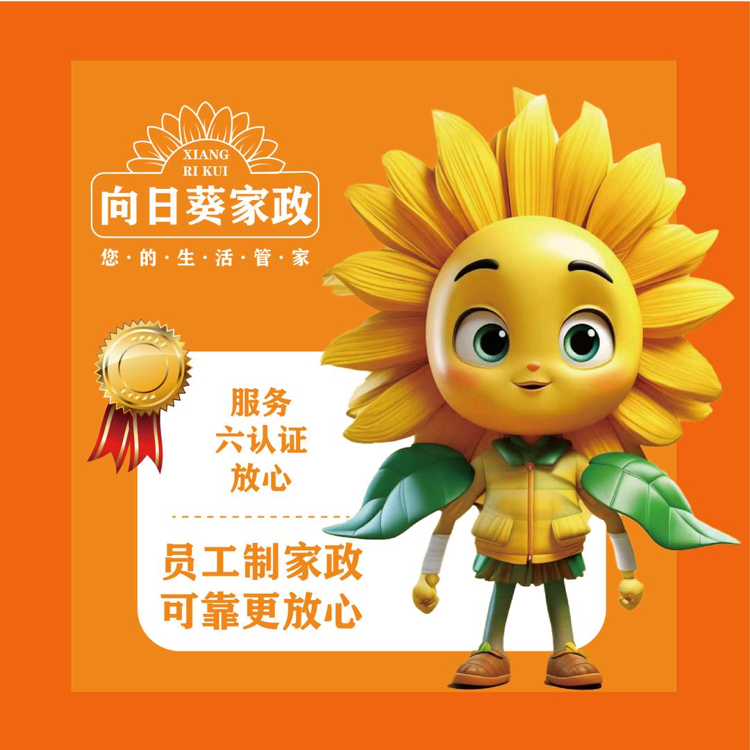 临沂向日葵家政