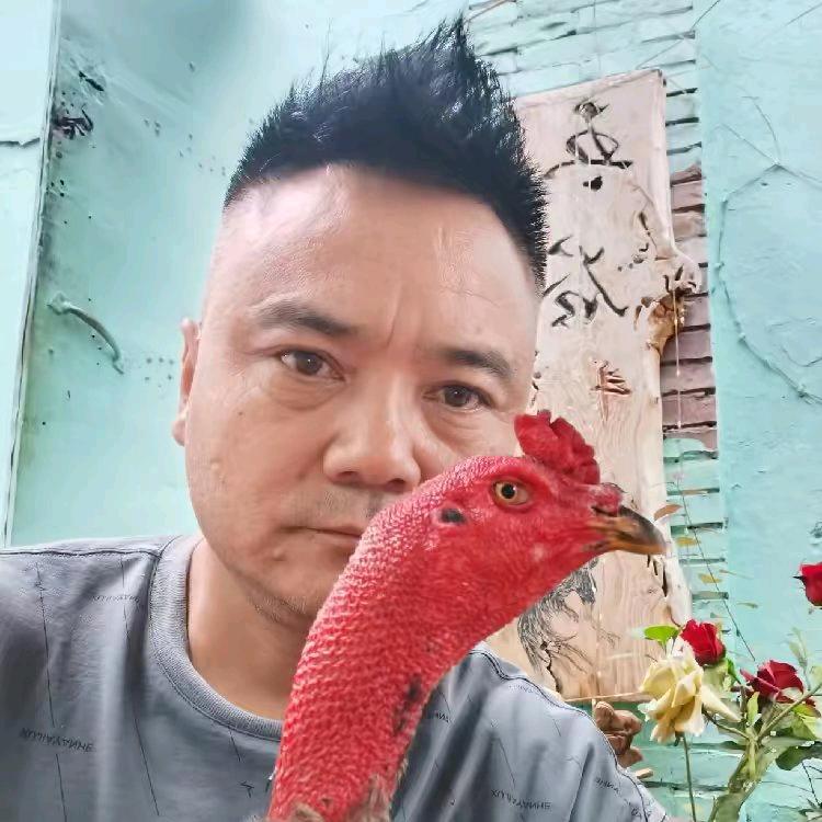 五谷斗鸡
