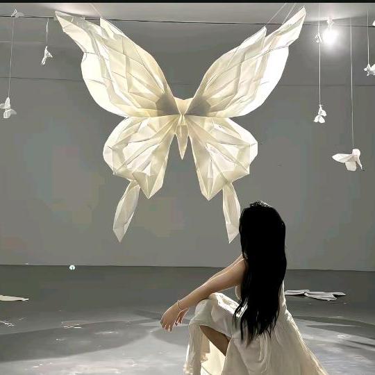 小何同学