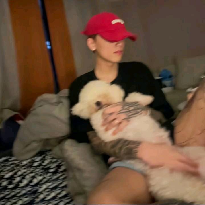 财阀.