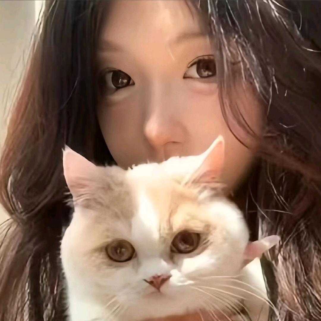 江菀月