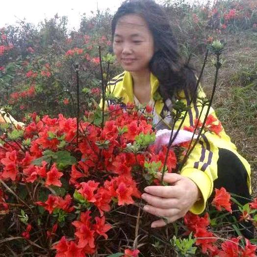 小敏娱乐主播(20点)