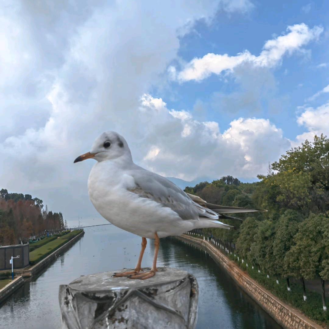 云悠悠