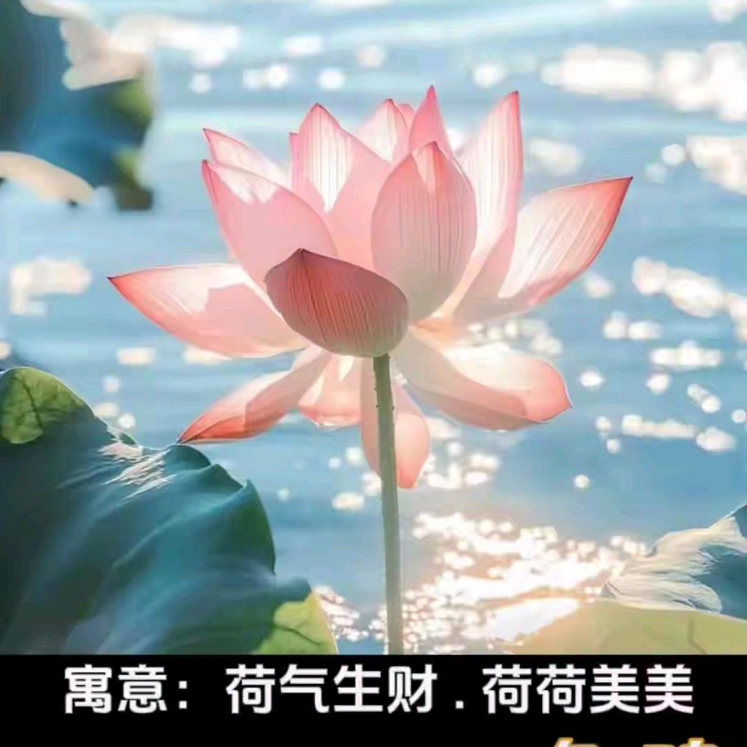 仁善缘🦊九宁