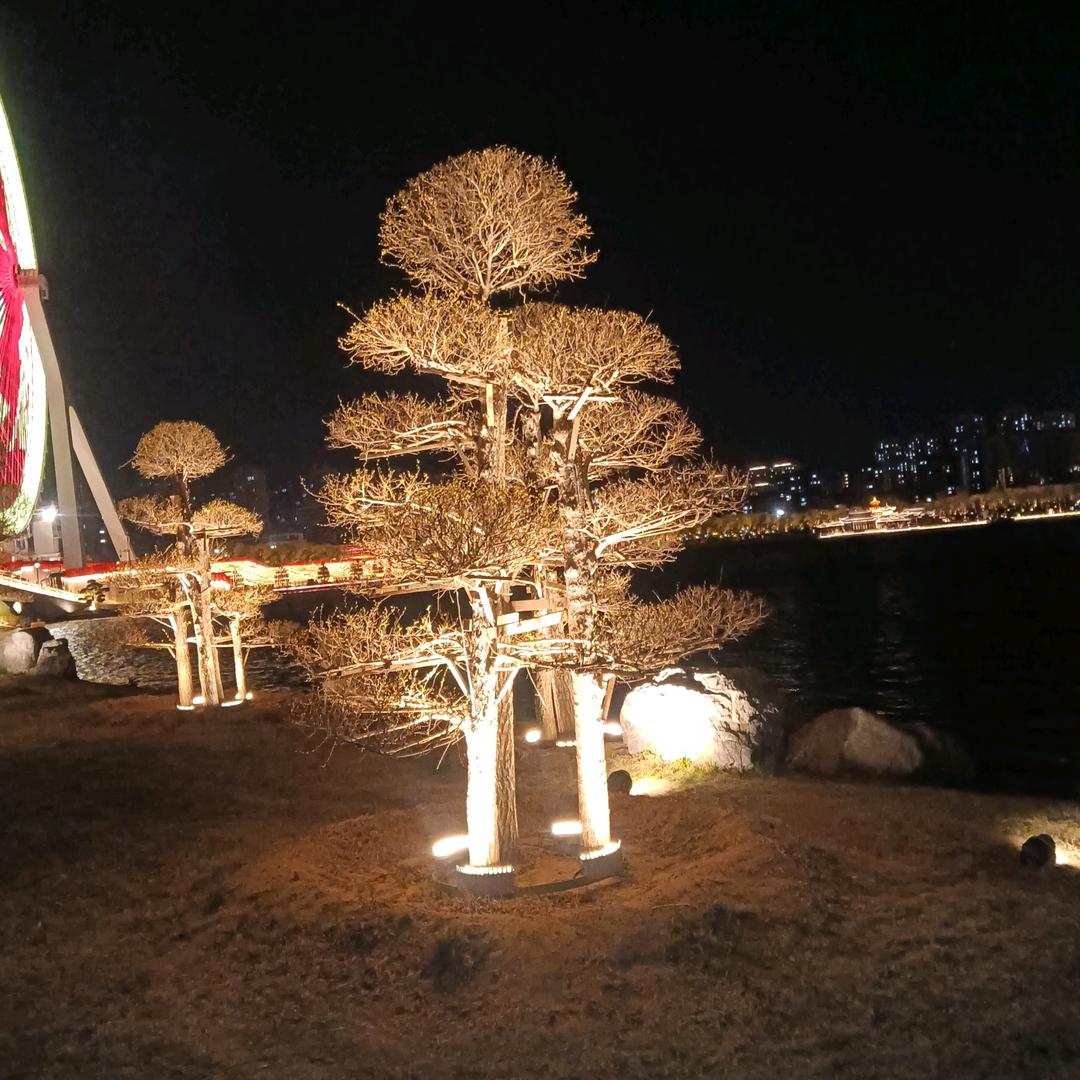 阳光↑*^O^*男孩