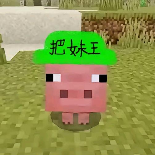 1003
