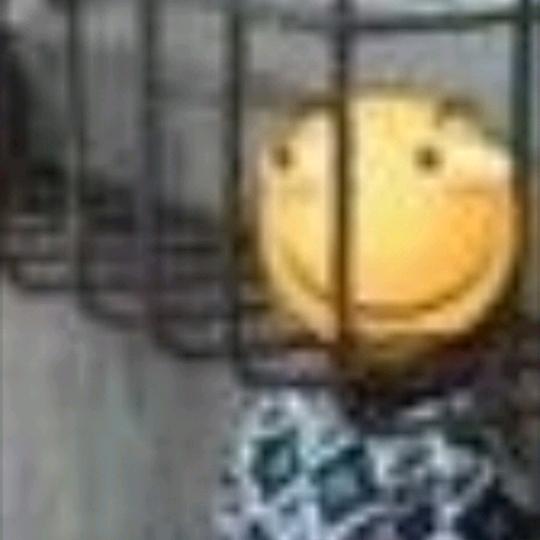 哥的冷零下八度头像