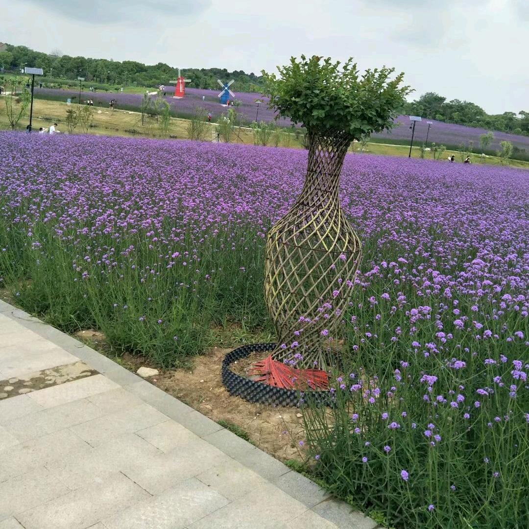 🐟波哥爱钓鱼🐠