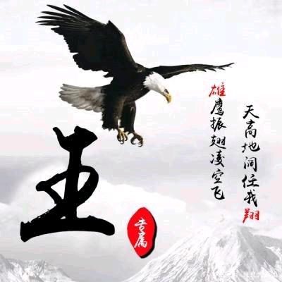 公大驾校，王建军教练