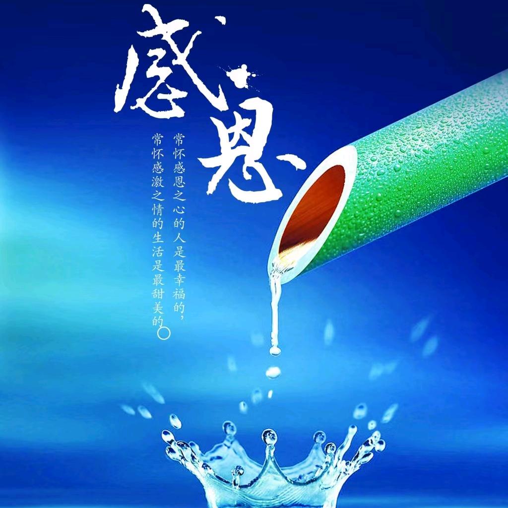 佳美