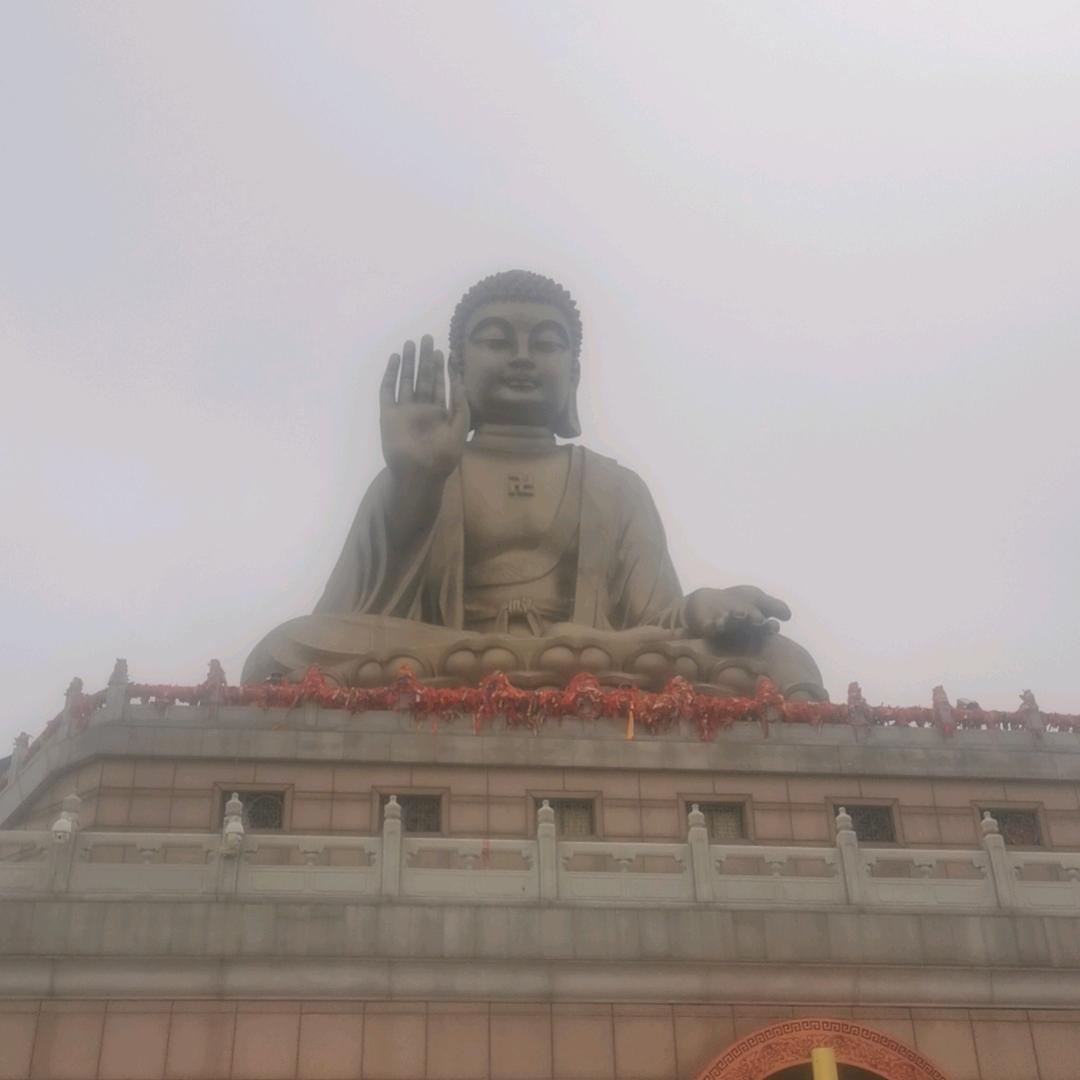 孤殇