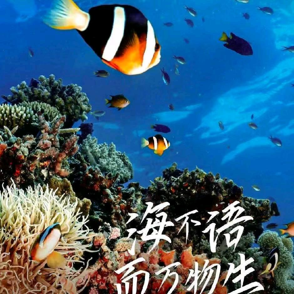 妙斋新语