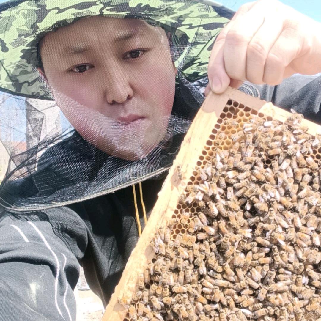 辛兴天天海鲜店，纯蜂蜜，蜂王浆，自产自销
