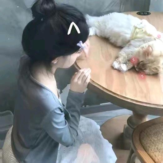 𝑨.悸怡眠🌷