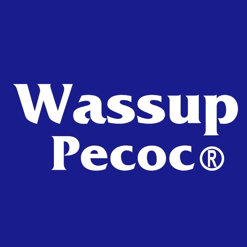 wasssup pecoc服饰线上店