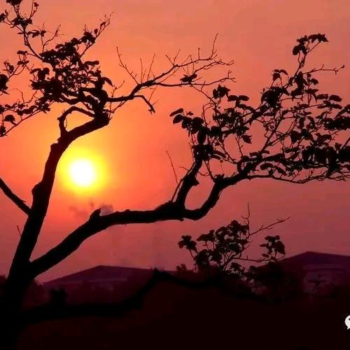 得到了又能如何