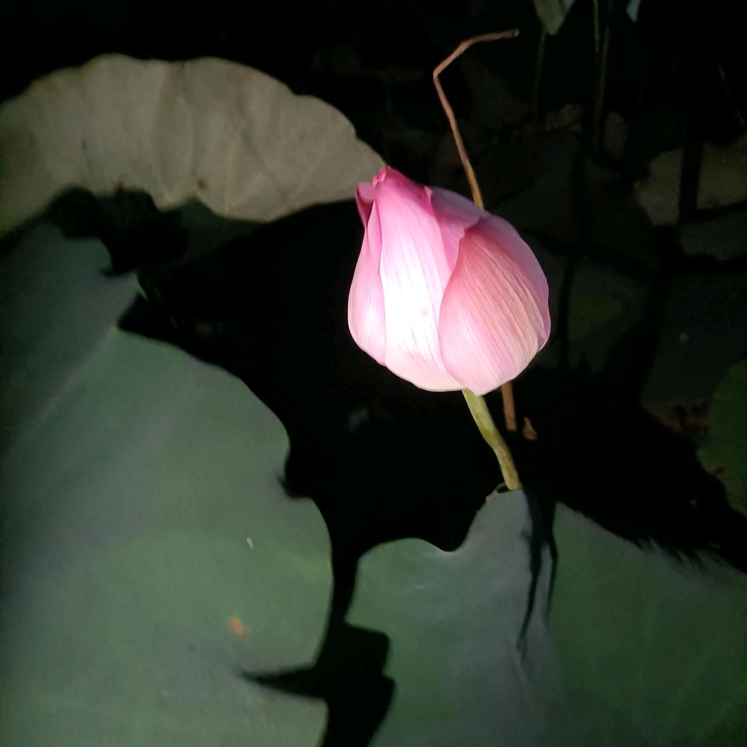 用户2080462723588