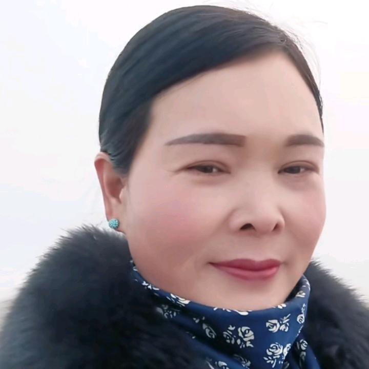 金凤姐
