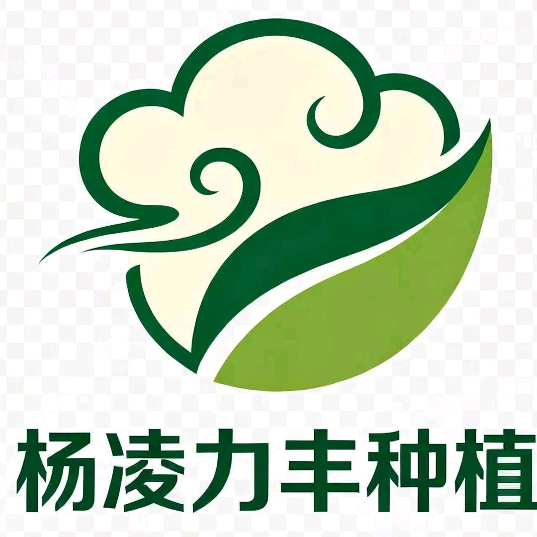 杨凌力丰