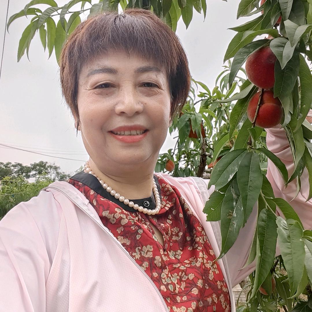 白云自媒体