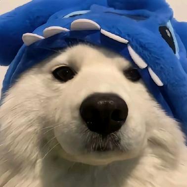 还在
