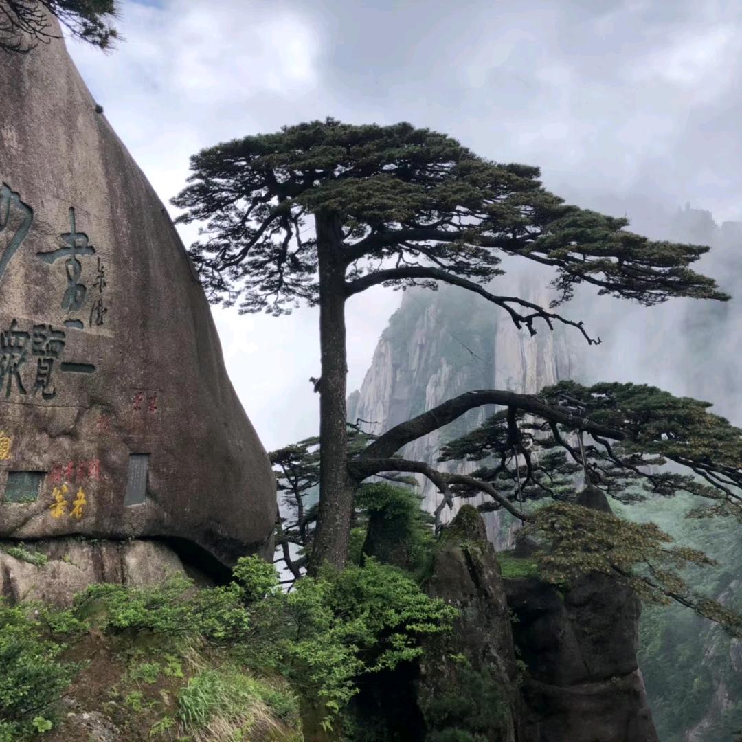 想出去瞅瞅