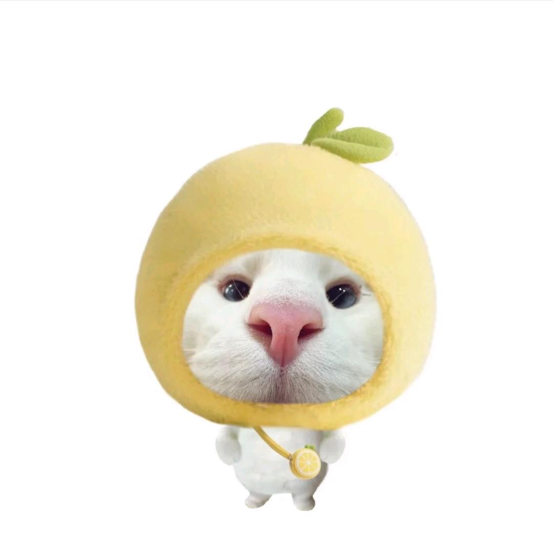 情绪不稳定的小航