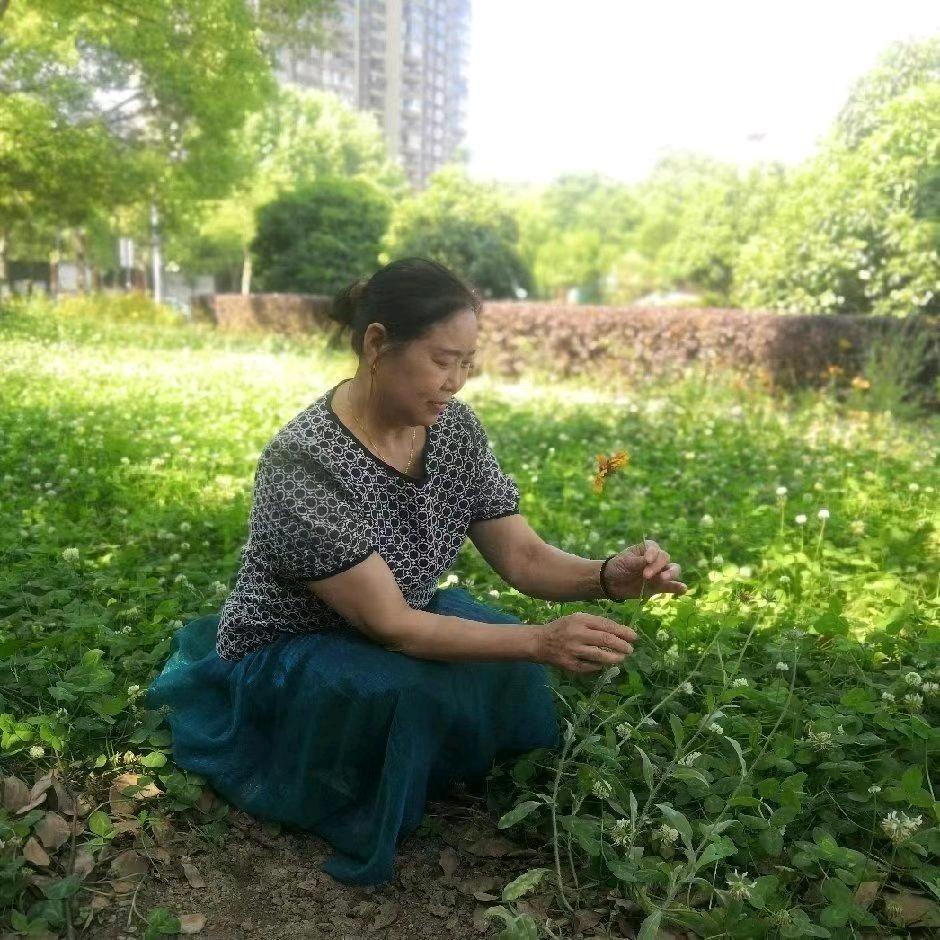 小英