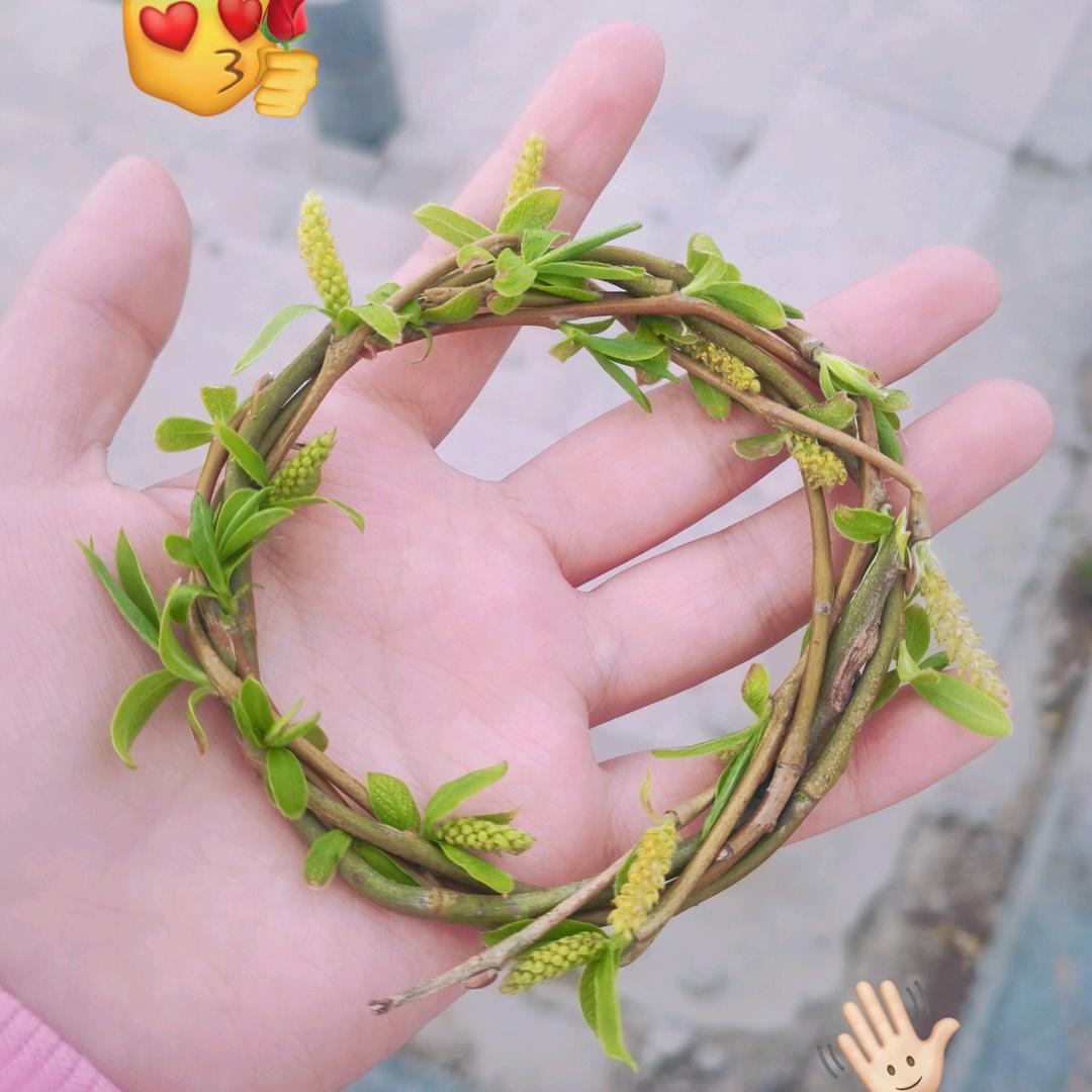 臻茹