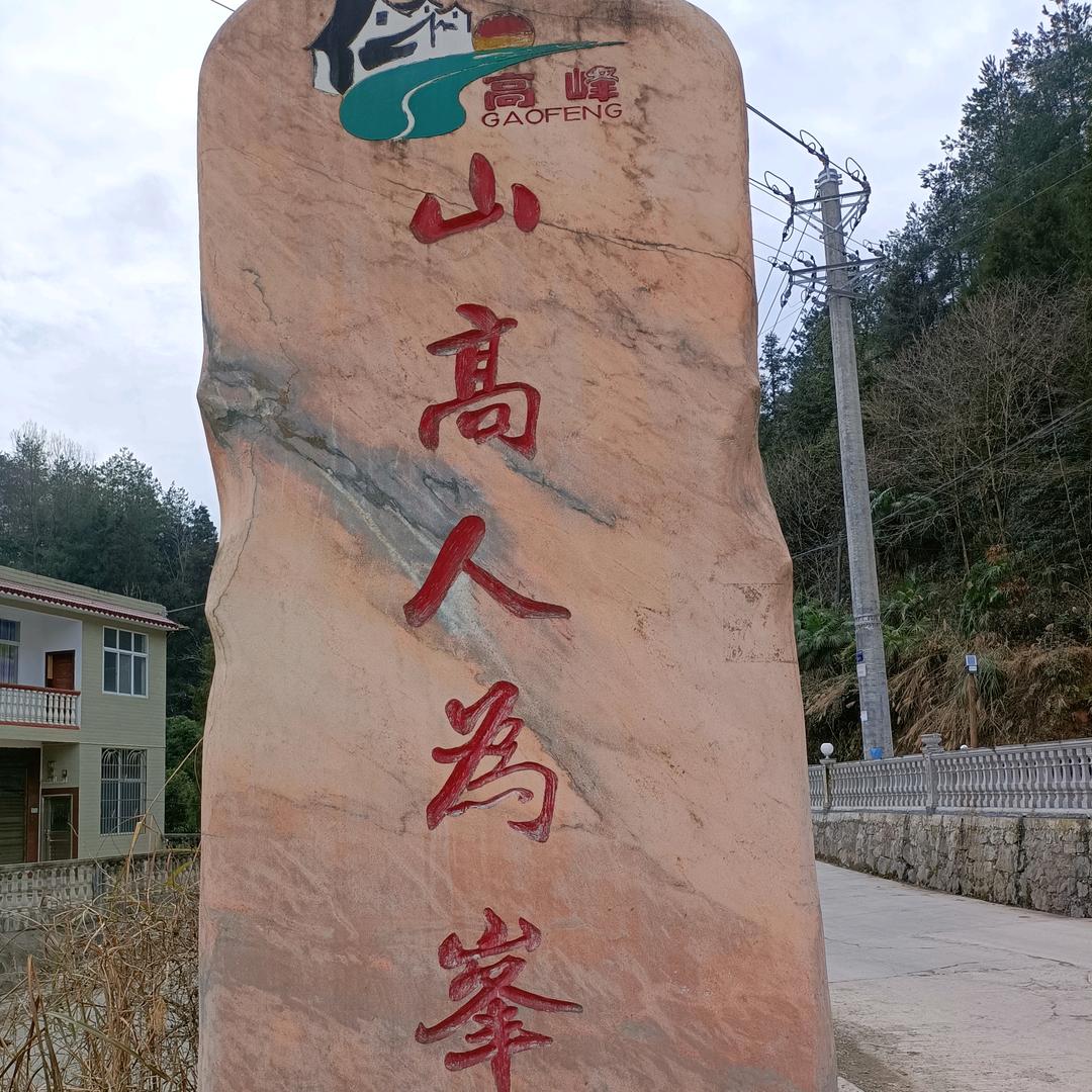 摆老壳虫
