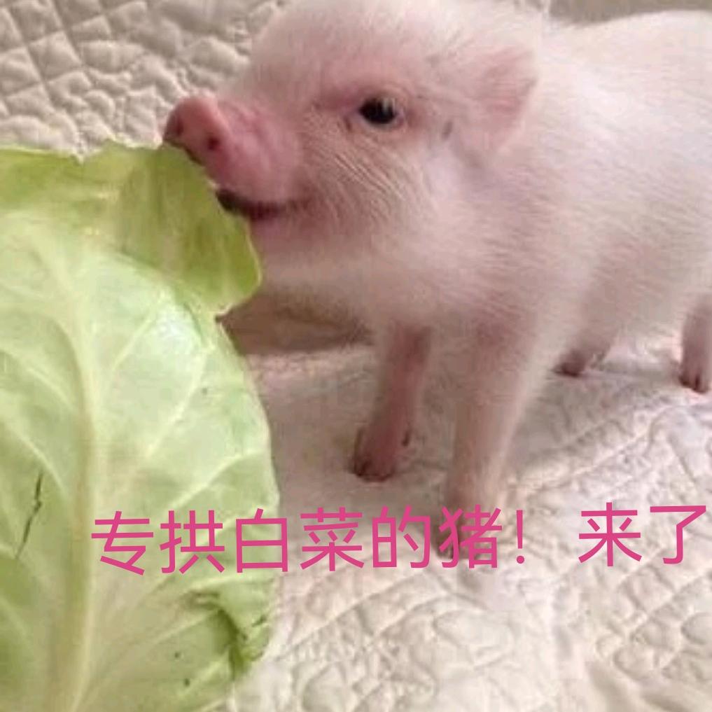 ♧美食美客凉菜房♧