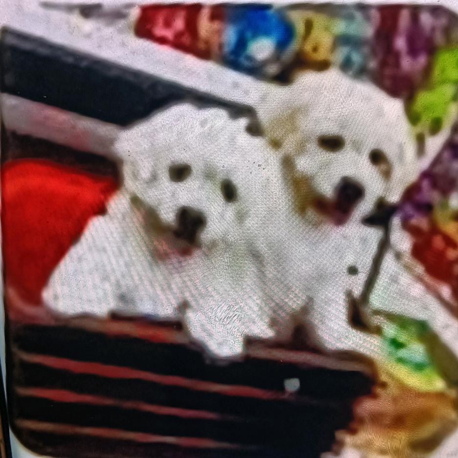 水中莲华