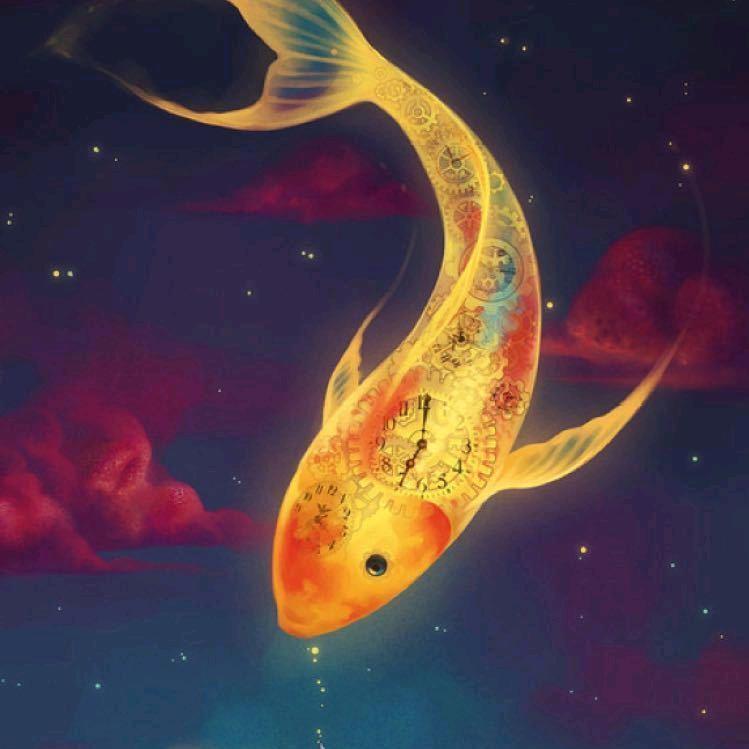 鱼的记忆不止七秒