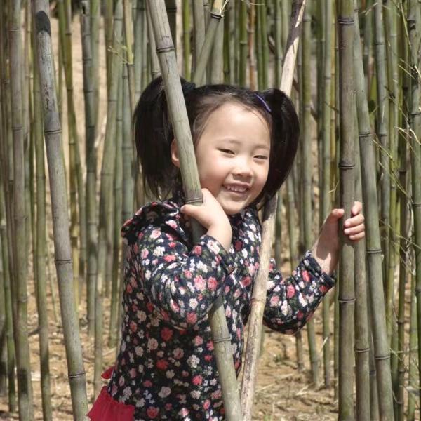 王建桥