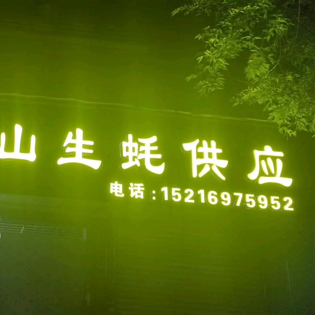 汕头蚝仔生蚝批发
