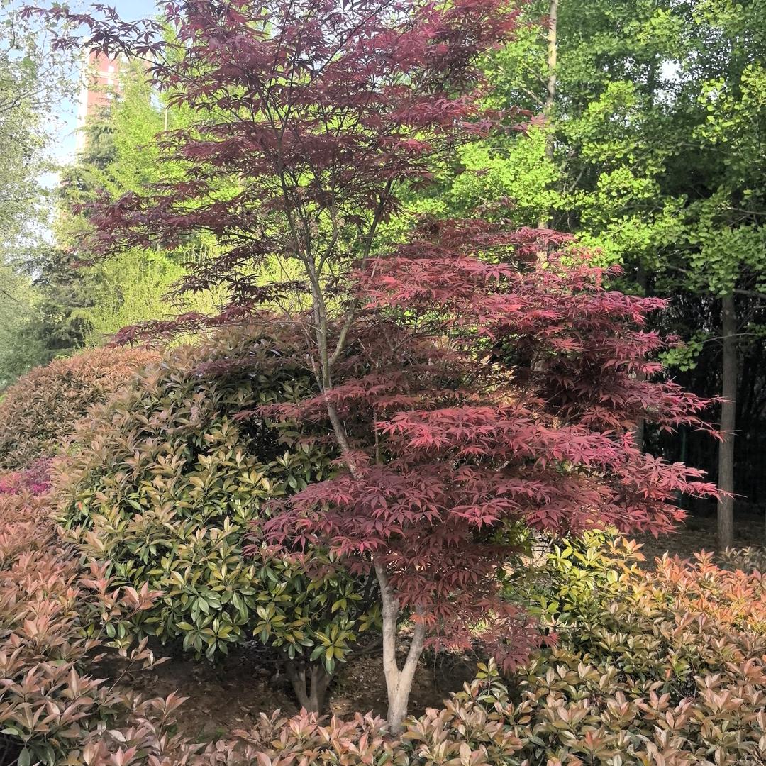 红宇造型