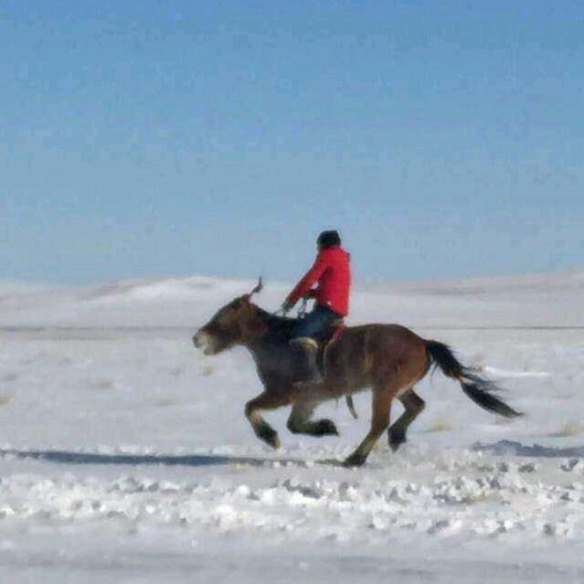 图布希都日古